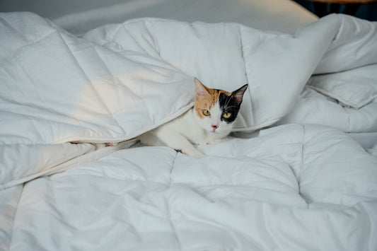ZipAway™ Duvet Insert